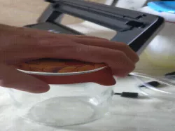 Jar Cap Vaccum Sucker Silvercast Lidl