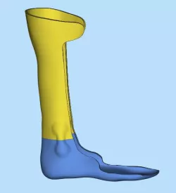 leg orthosis brace lower