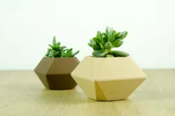 Low Poly Planter