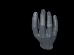 Manikin hand