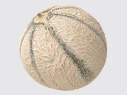 Melon