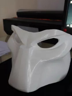Predator Mask
