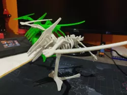 Pterodactylus Skel for 3D Printer! - Skylander the Pterodactylus!