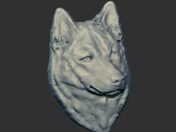 Siberian Husky Head 3D Relief