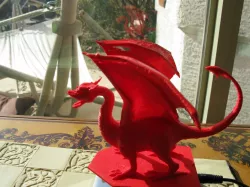 Supported Dragon