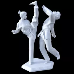 Taekwondo Lady 3D model