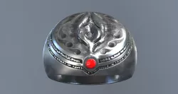 the RING POWER