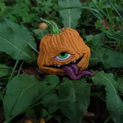 TofuRevolution's One-eyed pumpkin