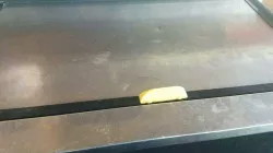 TRUE Well Door Handle