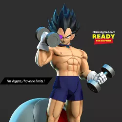 Vegeta with gym
