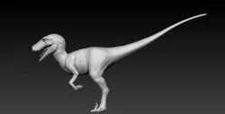 Velociraptor