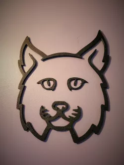 Wildcat