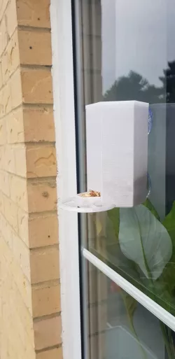 Window Bird Feeder
