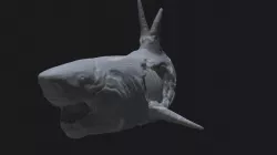 Zombie Shark