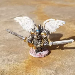 Armored Valkyrie With Twin Swords