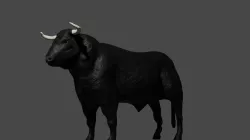 Bull