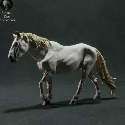 Camargue Horse