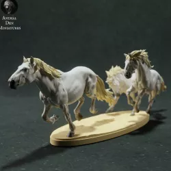 Camargue Horses Running