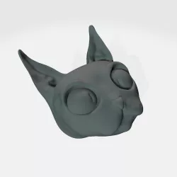 Cat head