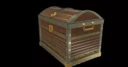 Chest
