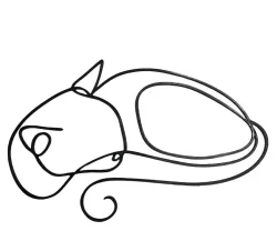 Deco cat line