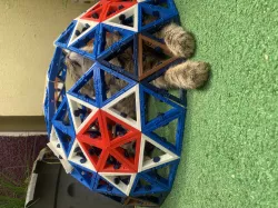 Domo Challenge
