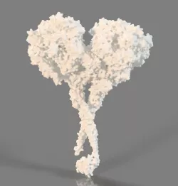 Dynein Molecule
