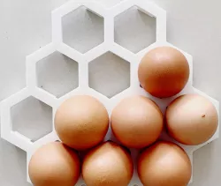 EGG TRAY 3D PRINTING