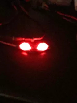 Eyes in the dark