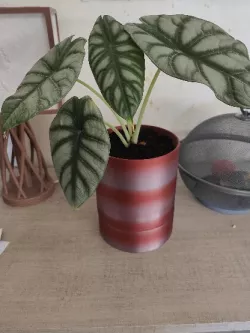 Flower pot with water reserve