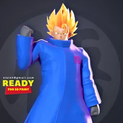 Goku in a blue jacket