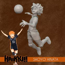 Haikyu! Shoyo Hinata