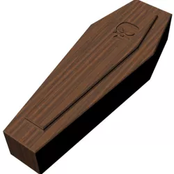 Halloween skull coffin