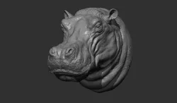 Hippopotamus head with background