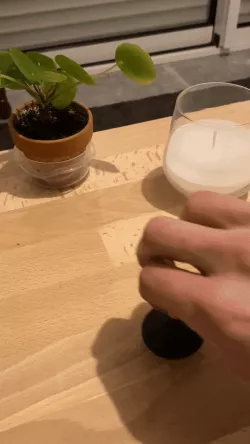 Inception Top