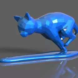 Kitten