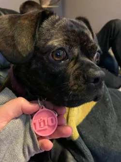 Lilo Dog Tag & Matching Keychain