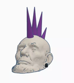 lincon punk