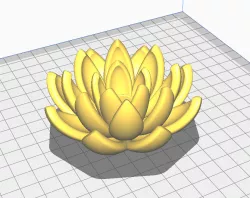 Lotus flower, Lotus flower, Lotus flower