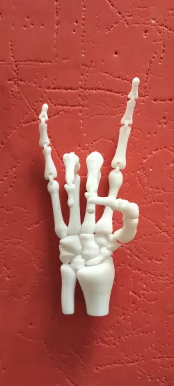 MANO ESQUELETO ARTICULADA