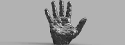Mechanical hand