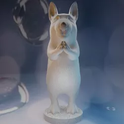 Meditation dog