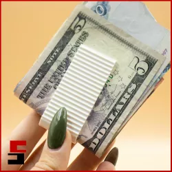 Money Clips Clip