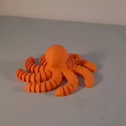 Octopus