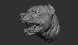 Pitbull grin head