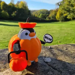 Pumpkin-ley! Finley 002