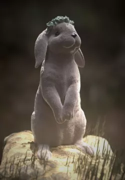 Rabbit high resolution