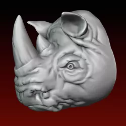Rhino head