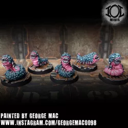 Rockworm grubs