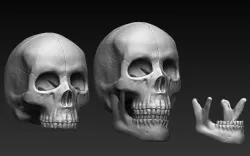 Scull